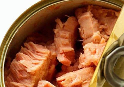 lactose intolerance foods salmon