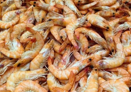 lactose intolerance diet foods shrimp